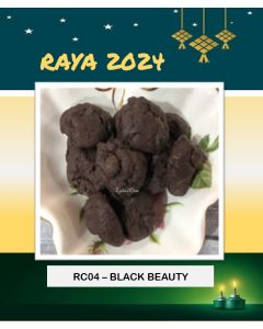 RC04 BLACK BEAUTY
